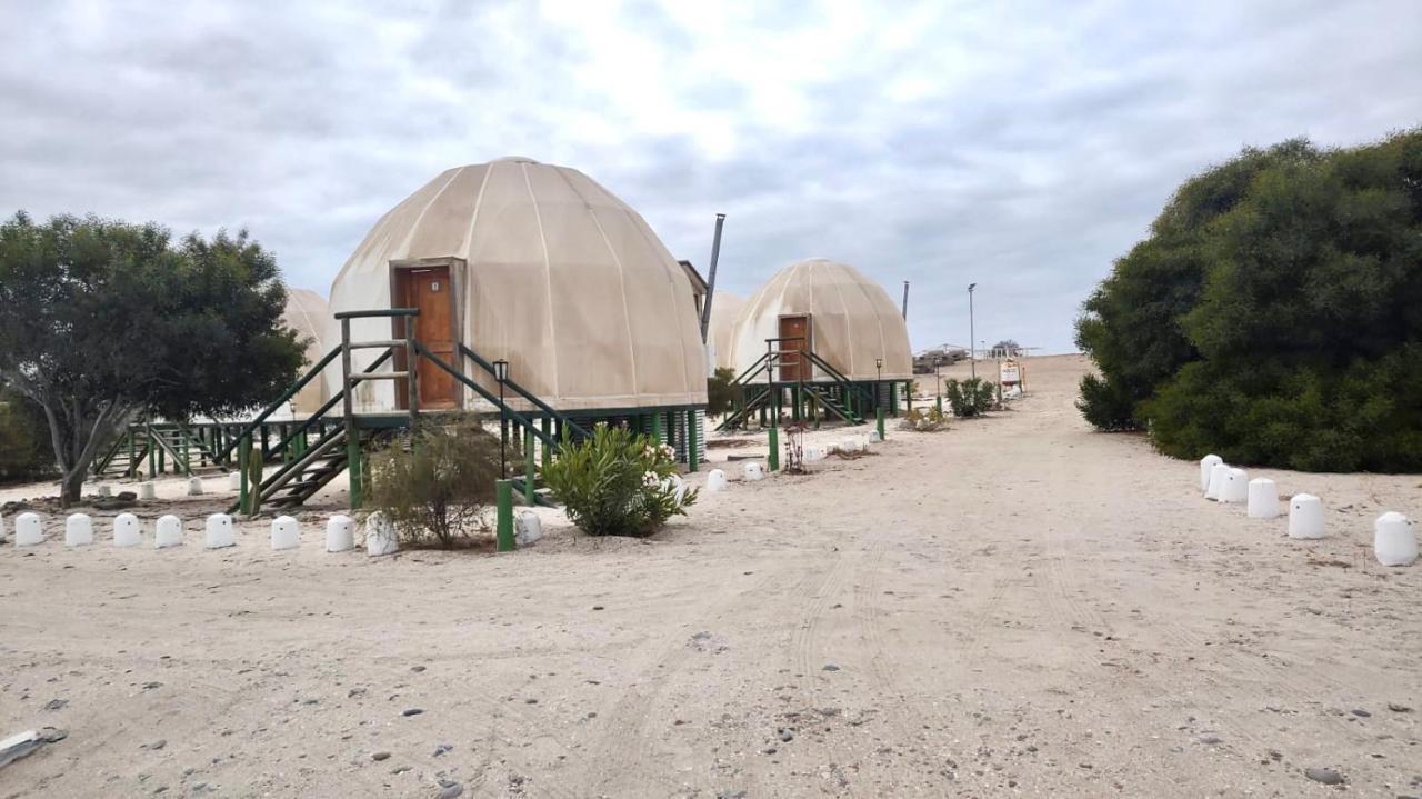 Hotel Camping Las Machas à Bahia Inglesa Extérieur photo